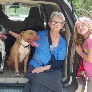 Meet your Posher, Frances